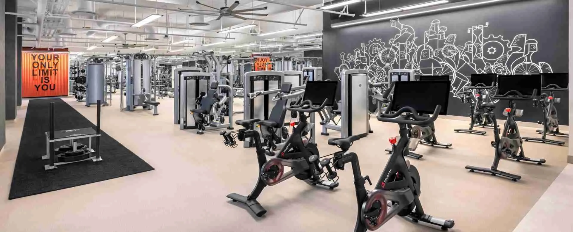 What's the best hotel gym in Las Vegas