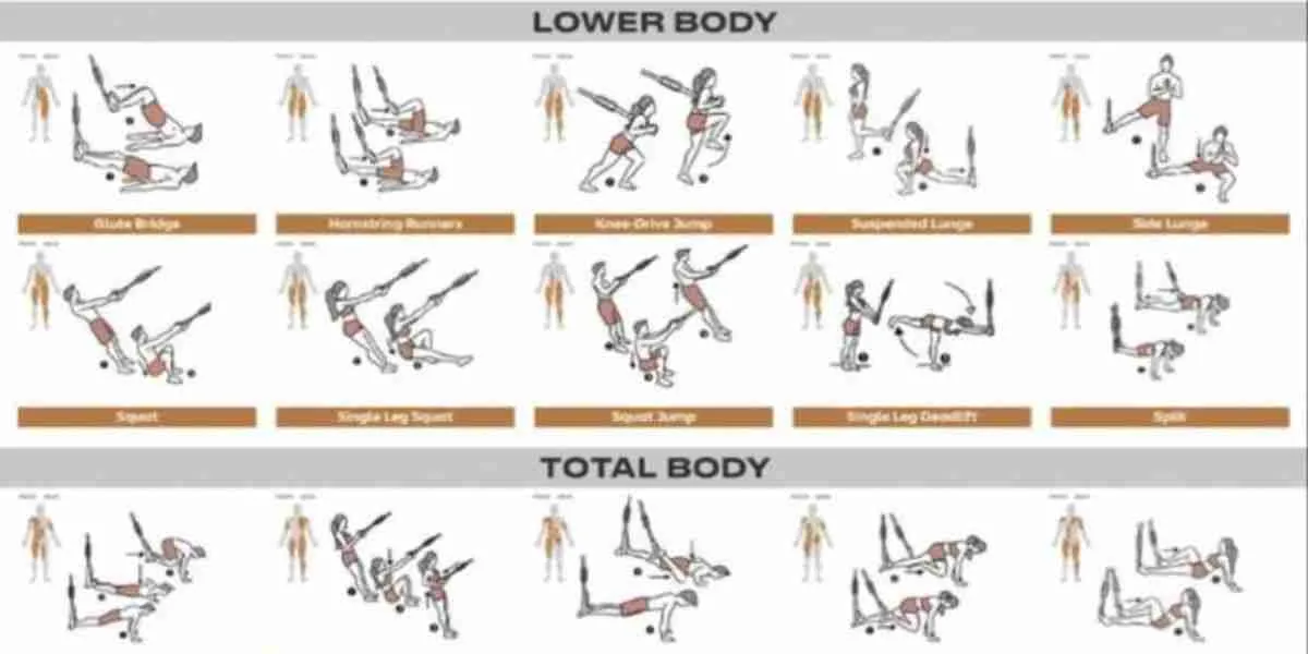TRX Leg Exercise Guide 