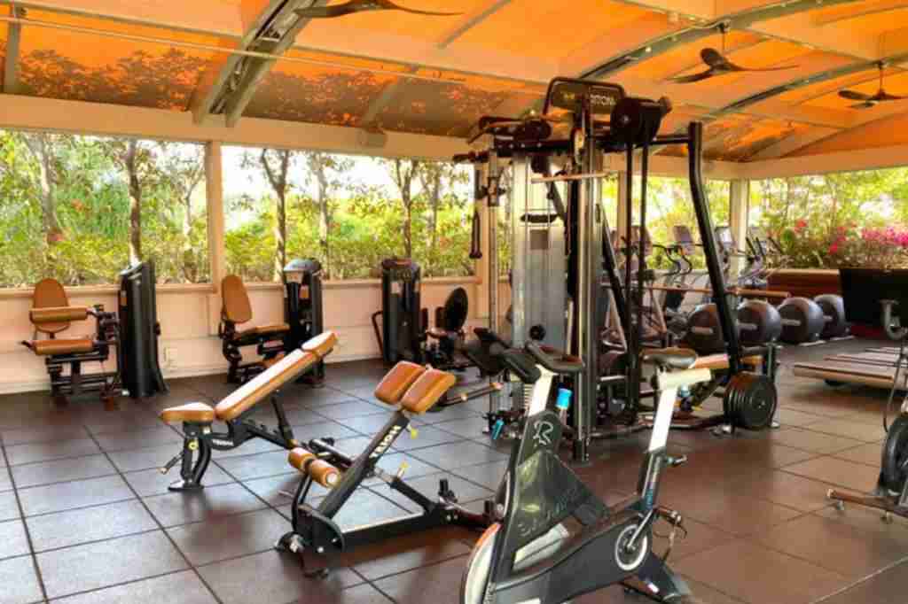 Best Hotel Gyms In LA  Top Rated Fitness Centres (2023)