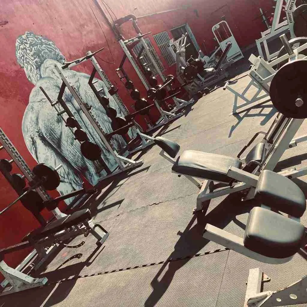 Best Bodybuilding Gym in LA - Hardcore Training Gym