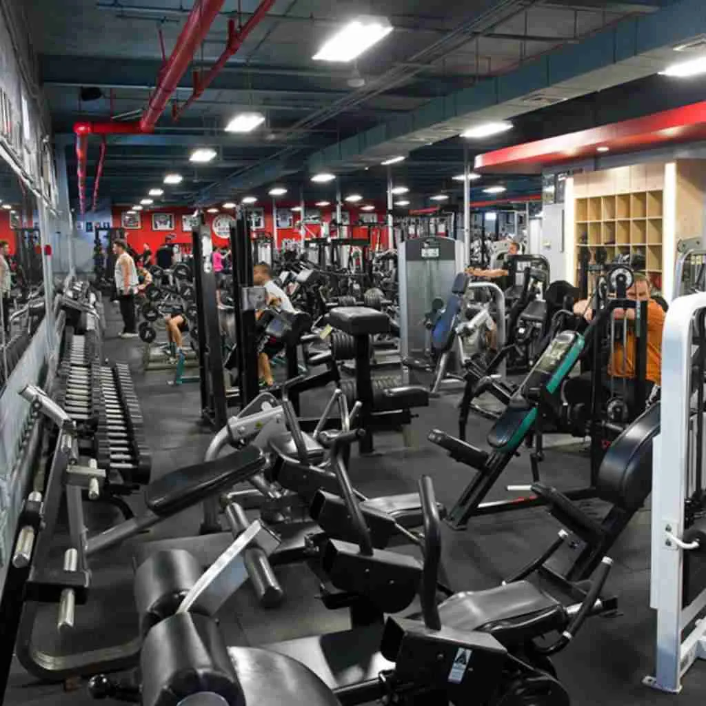 bodybuilding gyms in the USA