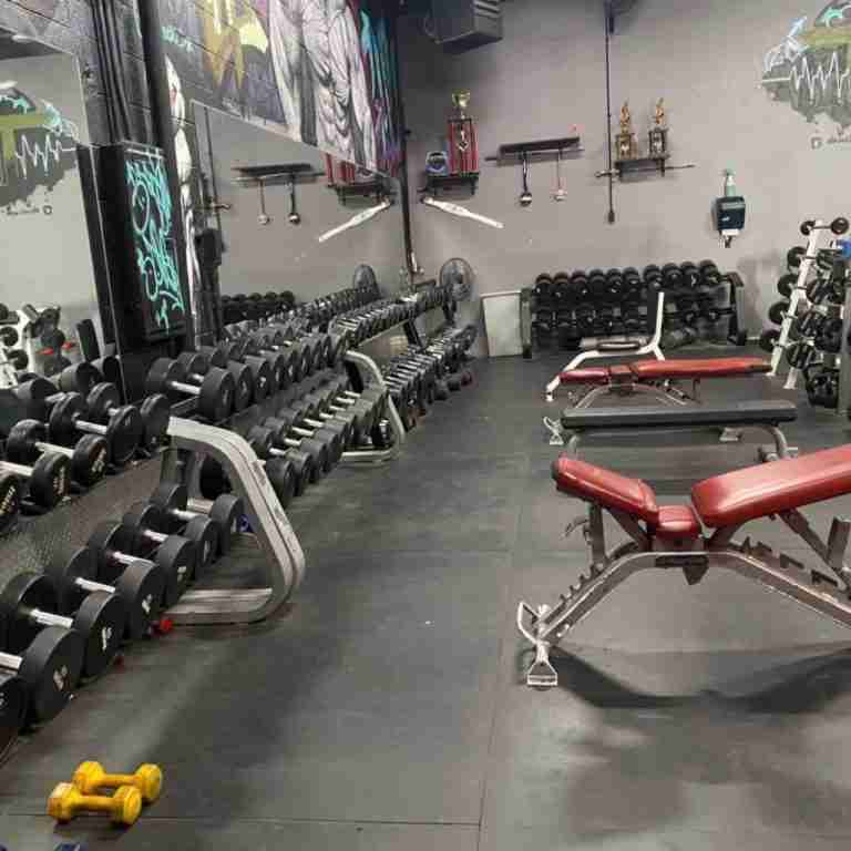 22 BEST Bodybuilding Gyms In The USA Hidden Gems [2023]
