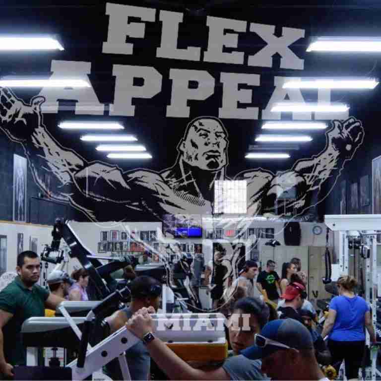 22 BEST Bodybuilding Gyms In The USA Hidden Gems [2023]