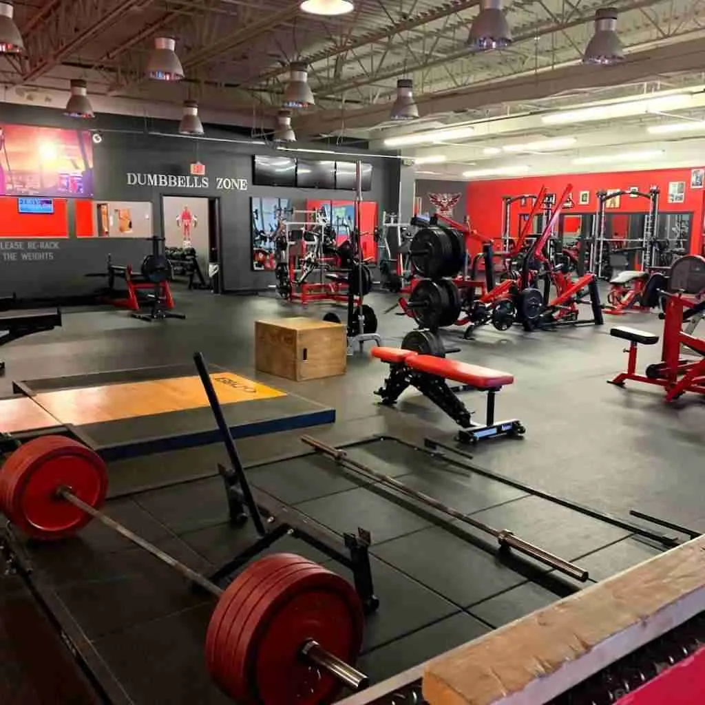 Iron Gorilla gym focuses on building both fitness and family