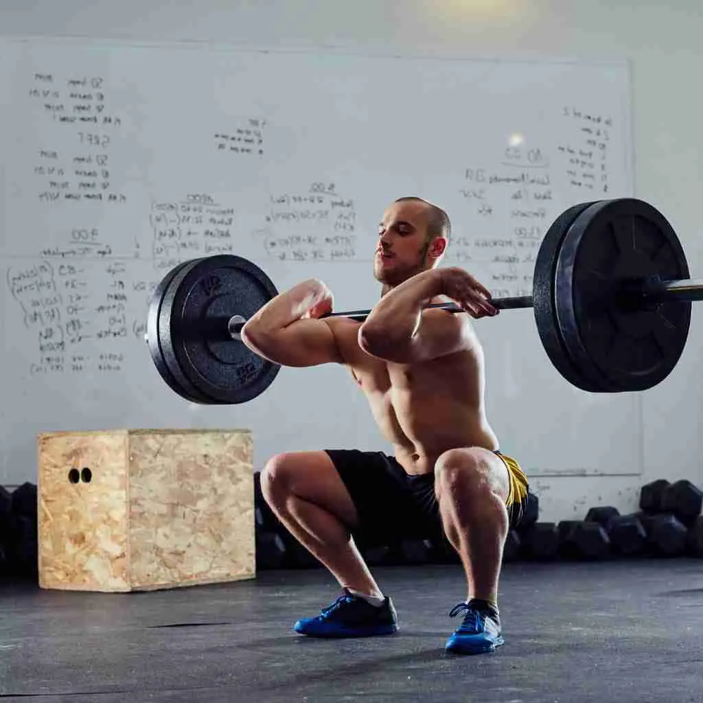 Barbell discount quad exercises