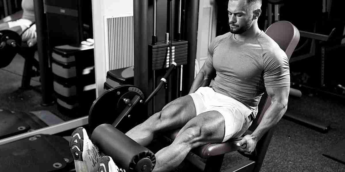 The Best Leg Exercises for Mass: Add Inches to Those Quads - Robor