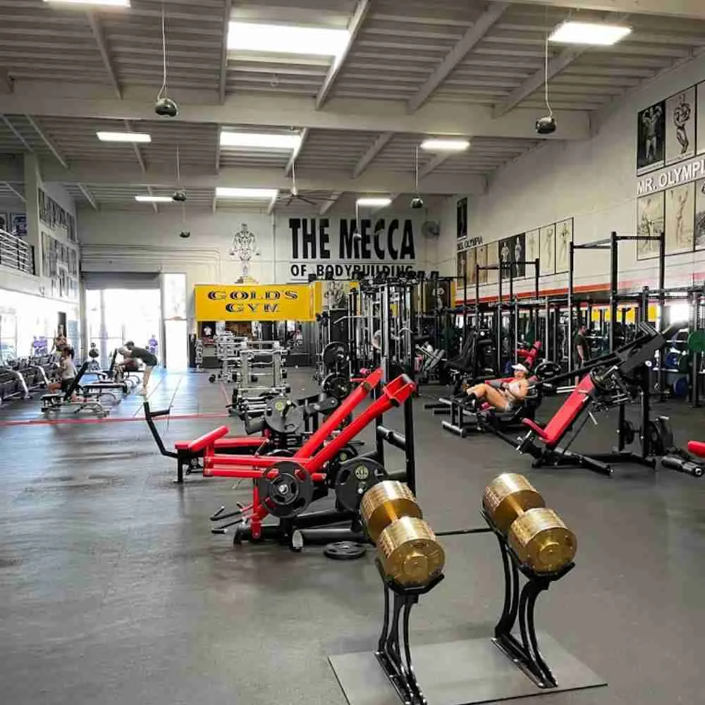 Golds Gym - Best bodybuilding gyms in USA