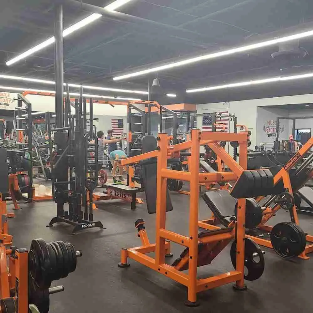 bodybuilding gyms in the USA