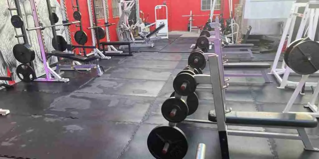 best bodybuilding gyms in LA