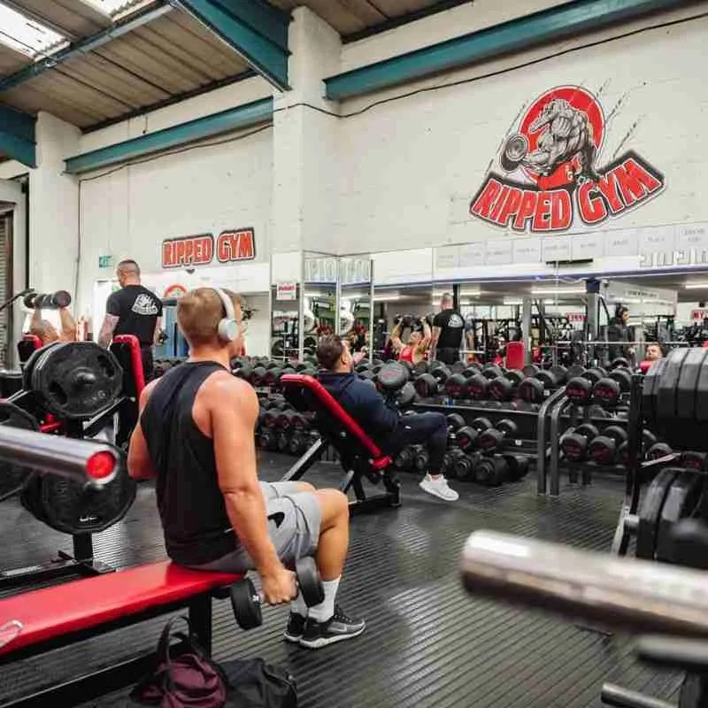 Best gyms in UK GB - Harlow's Ripped Gym