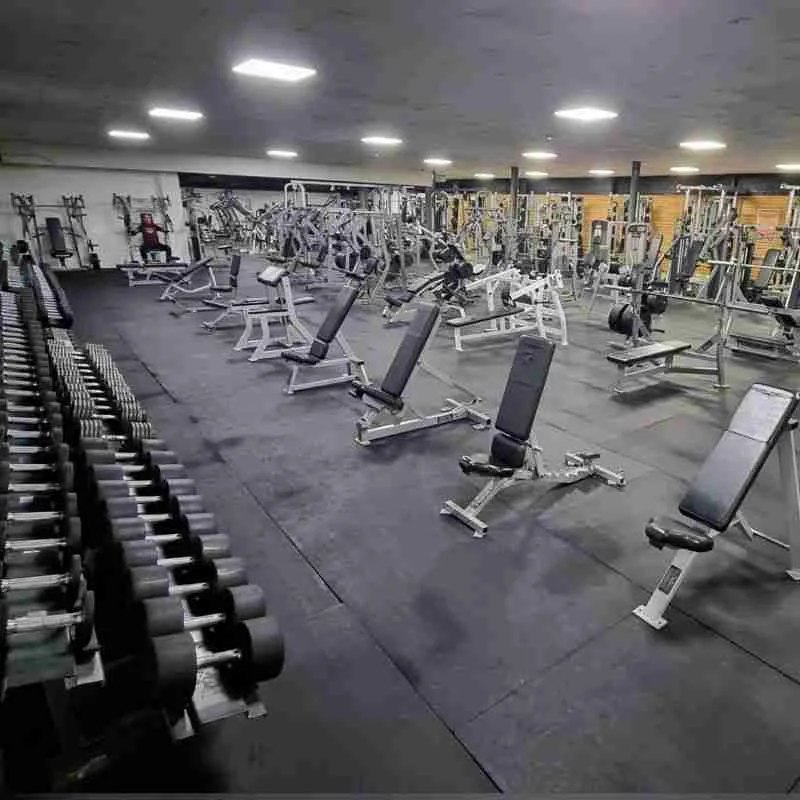 Best bodybuilding gyms in Stoke and UK - Strength Asylum