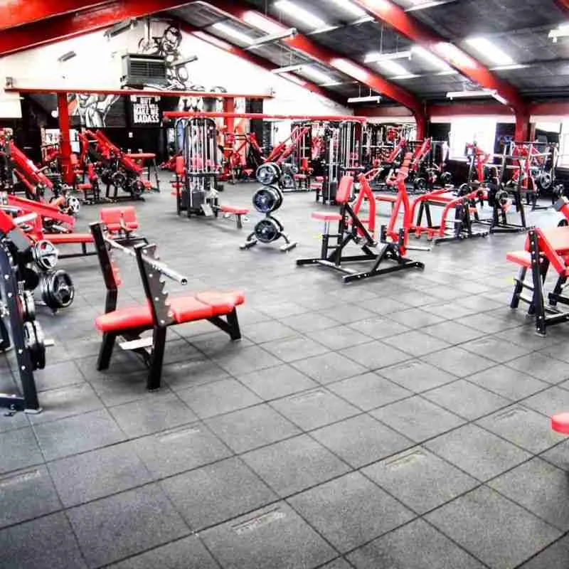 Best bodybuilding gyms in the UK - Glasgow's Extreme Gym