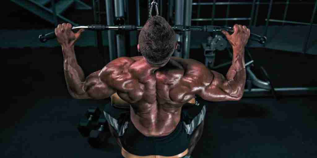 How To Build a V-Shape Back - Dumbbell Back Workout — Lee