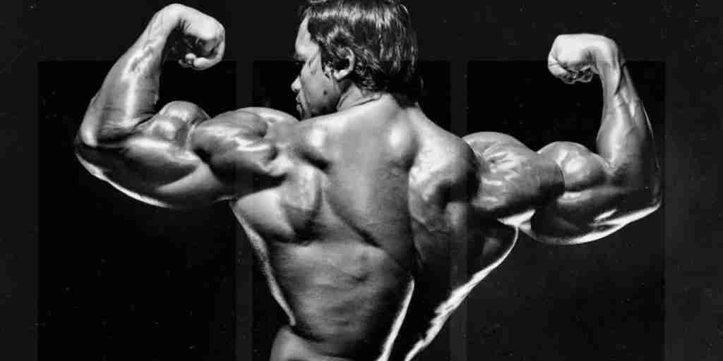 GVT Back workout to showcase width