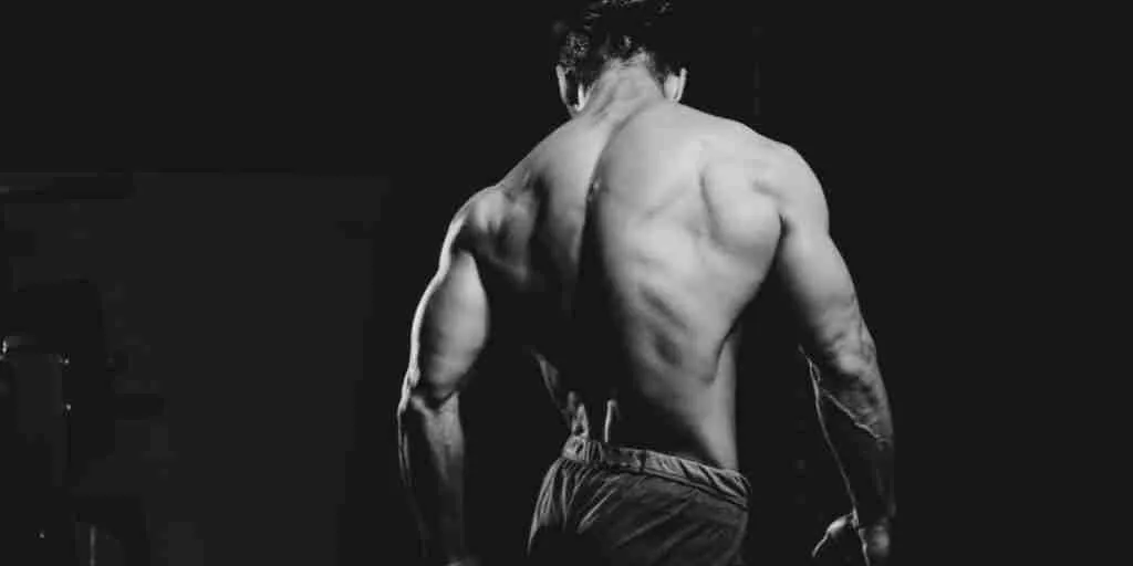 GVT Back Workout Routine For Hotel and the GYM