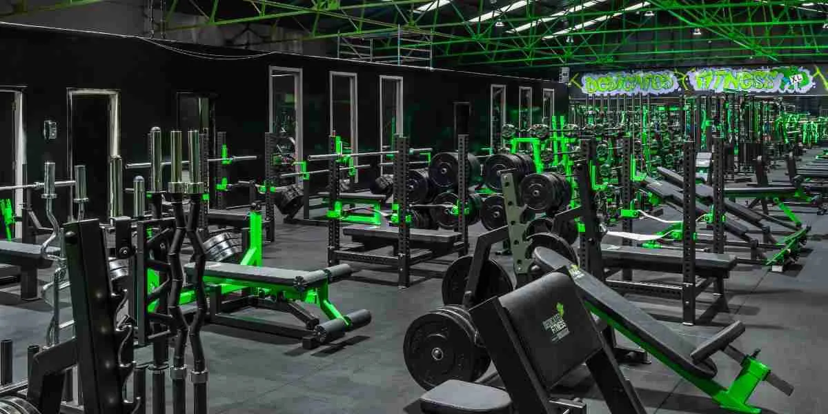 Watson Gym Equipment Review