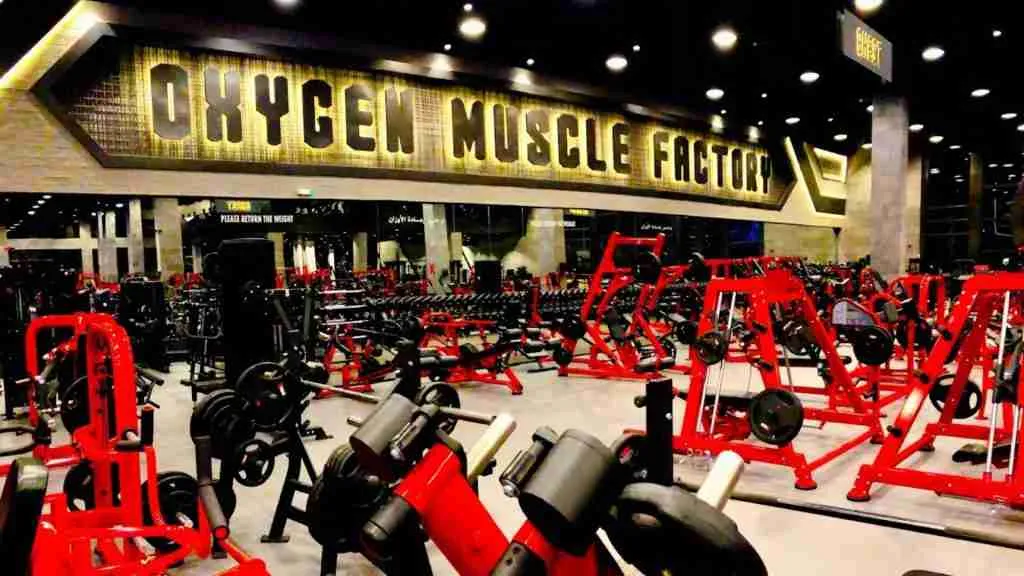 Best bodybuilding gyms in Abu Dhabi, UAE