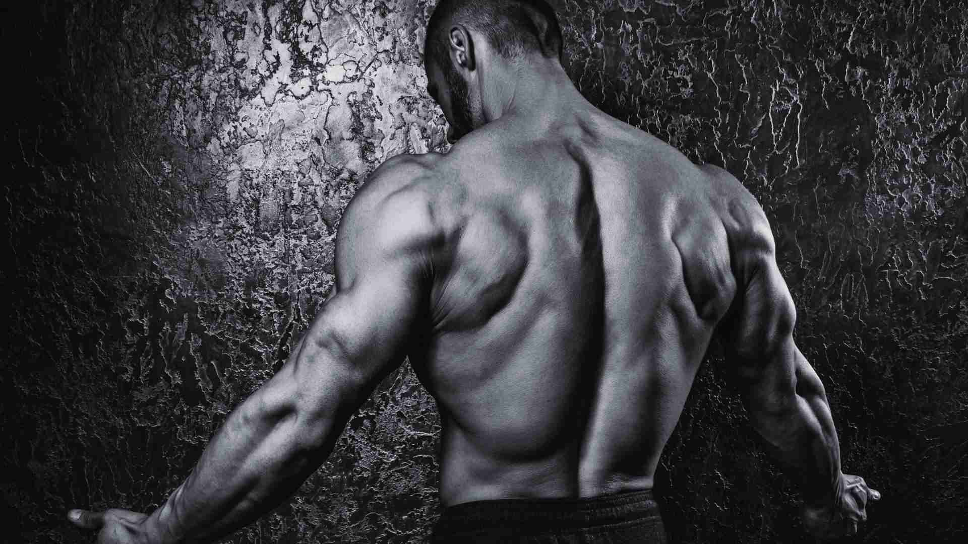 Dorian Yates on X: To build a wide back you gotta pull narrow