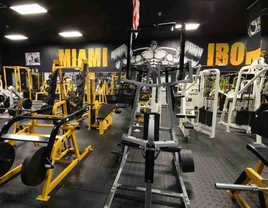 Best Bodybuilding Gyms In Florida | Tampa, Miami & More