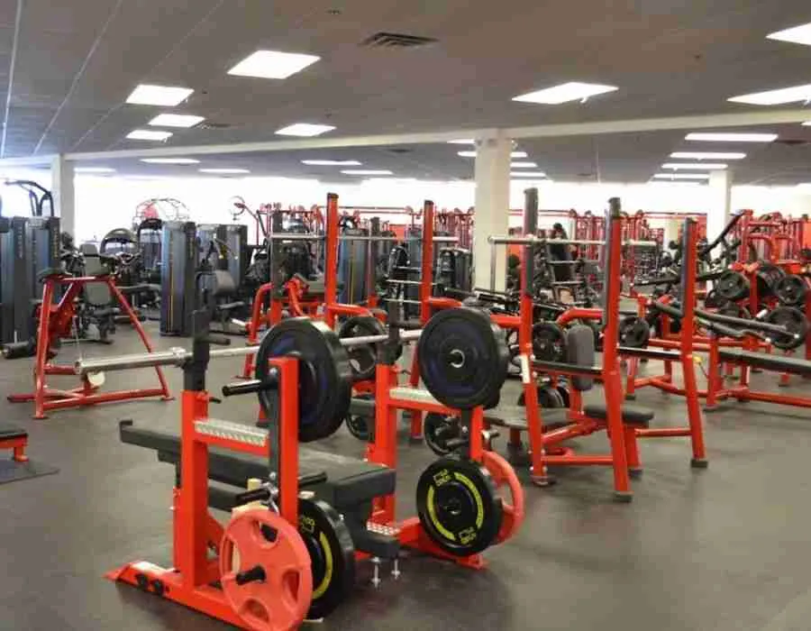 Tampa's Best Gym  Powerhouse Athletic Club Tampa