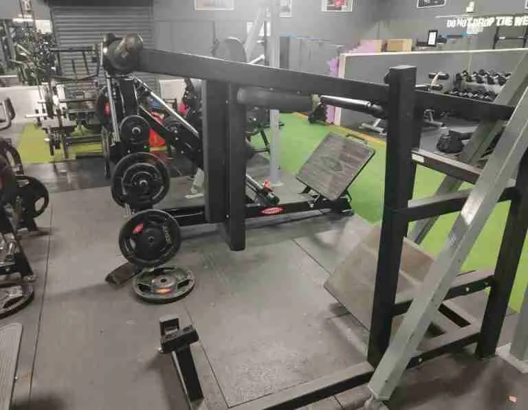 Best Pendulum Squat Machines Expert Reviews