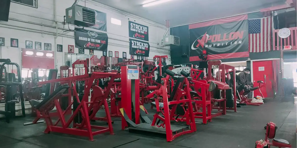 Best Gyms in New Jersey for bodybuilders