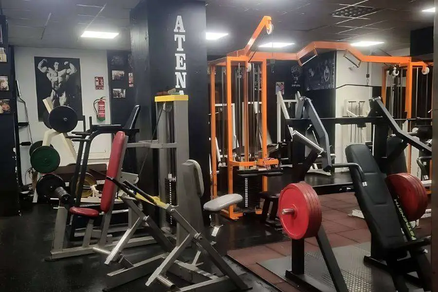 Bodybuilding Gyms In Alicante