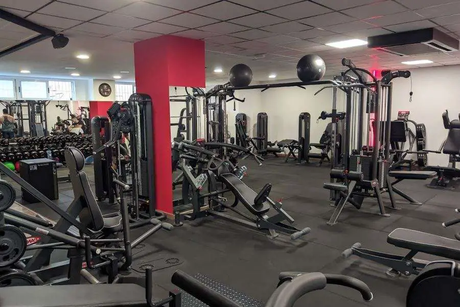 Bodybuilding Gyms In Alicante