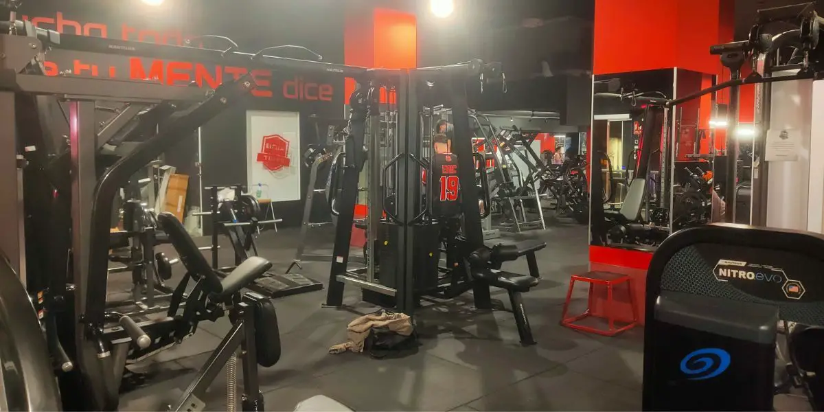 bodybuilding-gyms-alicante-titan-fitness-floor Best gym for bodybuilders in Alicante